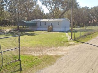 Foreclosed Home - 3048 DIANA DR, 33541