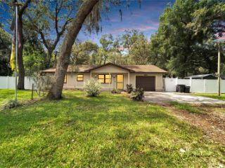 Foreclosed Home - 38020 PALM GROVE DR, 33542