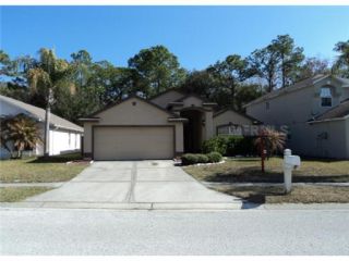 Foreclosed Home - 1500 FIREWHEEL DR, 33543
