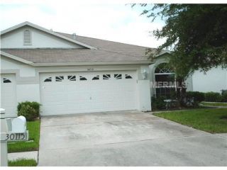 Foreclosed Home - 30115 EMMETTS CT, 33543
