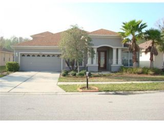 Foreclosed Home - 27214 FERN GLADE CT, 33544