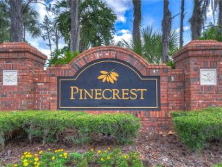 Foreclosed Home - 27608 PINE POINT DR, 33544