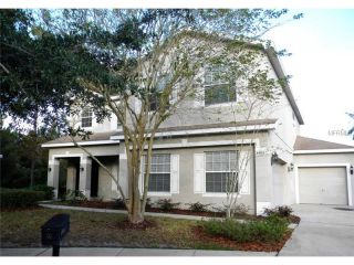 Foreclosed Home - 6004 PALOMAGLADE DR, 33547
