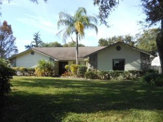 Foreclosed Home - 19816 DEER HOLLOW LN, 33548