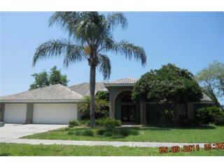 Foreclosed Home - 17304 CARRIAGE WAY, 33556