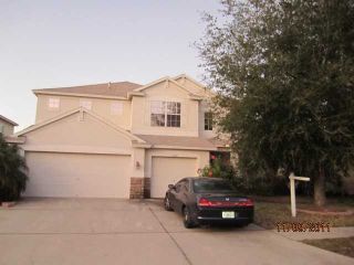 Foreclosed Home - 16431 NIKKI LN, 33556