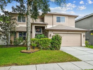 Foreclosed Home - 19107 CYPRESS GREEN DR, 33558