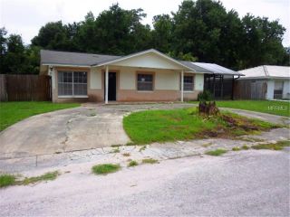 Foreclosed Home - 4854 STEEL DUST LN, 33559