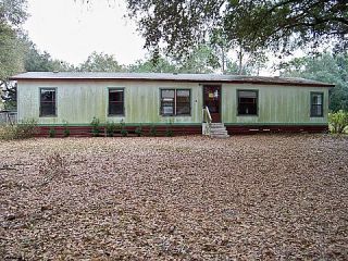 Foreclosed Home - 1106 BRANCH ACRES DR, 33565
