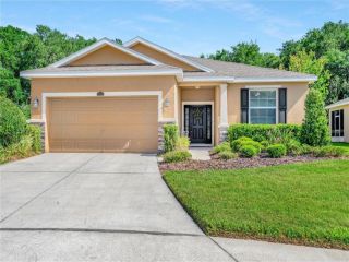 Foreclosed Home - 2825 HOLLY BLUFF CT, 33566