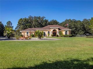 Foreclosed Home - 1084 COWART RD, 33567