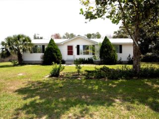 Foreclosed Home - 8102 SAND CRANE LN, 33567