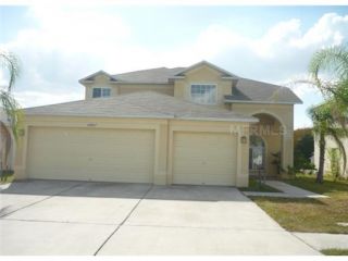 Foreclosed Home - 10807 LAKESIDE VISTA DR, 33569
