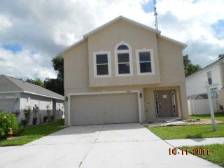 Foreclosed Home - 10430 RIVER BREAM DR, 33569