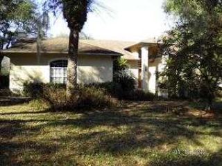Foreclosed Home - 8209 STONER HILLS DR, 33569