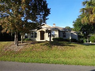 Foreclosed Home - 11220 Rice Creek Rd, 33569