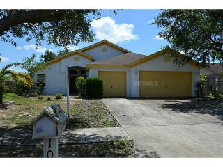 Foreclosed Home - 10518 Anglecrest Dr, 33569