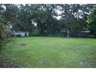 Foreclosed Home - 10743 WHITT RD, 33569