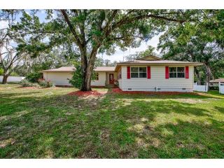 Foreclosed Home - 11505 Falkirk Pl, 33569