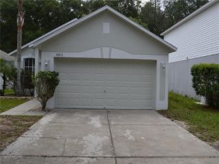 Foreclosed Home - 10418 RIVER BREAM DR, 33569
