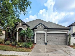 Foreclosed Home - 12706 TRINITY SPRINGS LN, 33569
