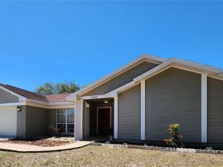 Foreclosed Home - 12304 YELLOW ROSE CIR, 33569
