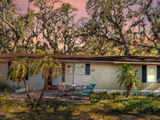 Foreclosed Home - 13907 RAULERSON RD, 33569