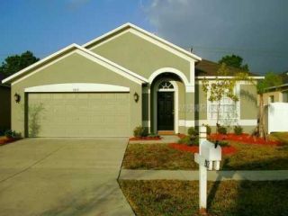 Foreclosed Home - 2207 ROANOKE SPRINGS DR, 33570