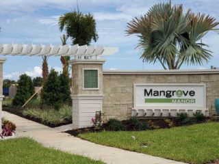 Foreclosed Home - 133 MANGROVE MANOR DR, 33572