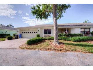 Foreclosed Home - 1506 Leland Drive, 33573