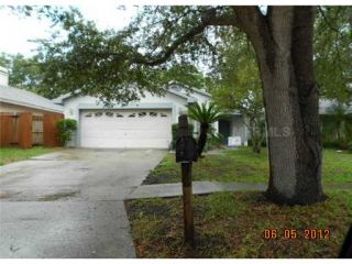 Foreclosed Home - 6007 CRICKETHOLLOW DR, 33578