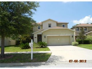 Foreclosed Home - 10625 DAWNS LIGHT DR, 33578