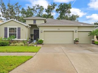Foreclosed Home - 10409 PLEASANT SPRING WAY, 33578