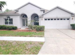 Foreclosed Home - 10916 Australian Pine Dr, 33579