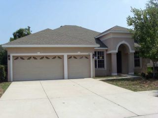 Foreclosed Home - 1122 FENNEL GREEN DR, 33584