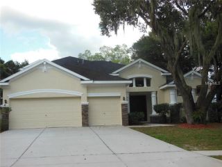 Foreclosed Home - 1505 Brilliant Cut Way, 33594