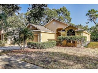 Foreclosed Home - 625 Somerstone Dr, 33594