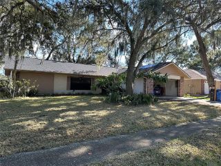Foreclosed Home - 1105 RIFLECREST AVE, 33594