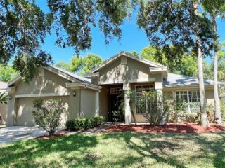 Foreclosed Home - 3103 BENT CREEK DR, 33596