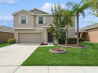 Foreclosed Home - 10925 RAINBOW PYRITE DR, 33598
