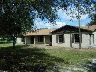 Foreclosed Home - 11040 CLAY PIT RD, 33610