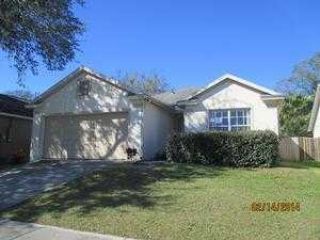 Foreclosed Home - 4724 Limerick Dr, 33610