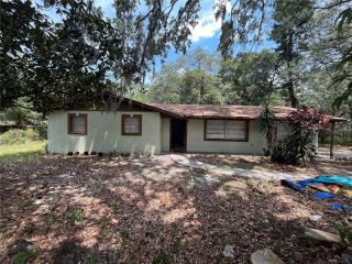 Foreclosed Home - 7420 E CHELSEA ST, 33610
