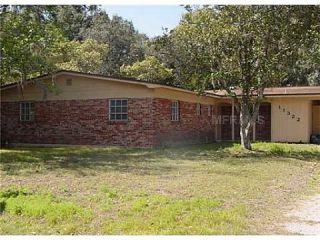 Foreclosed Home - 11322 VERONICA AVE, 33612