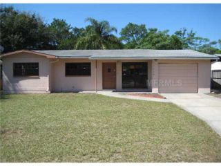 Foreclosed Home - 10926 N HYACINTH AVE, 33612