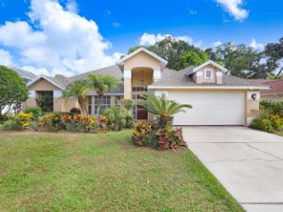 Foreclosed Home - 1003 CLEARCREEK DR, 33613