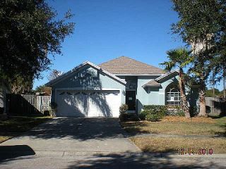 Foreclosed Home - 10226 OASIS PALM DR, 33615