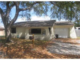 Foreclosed Home - 10203 MILLBEND CT, 33615