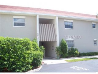 Foreclosed Home - 8829 BAY POINTE DR UNIT G205, 33615