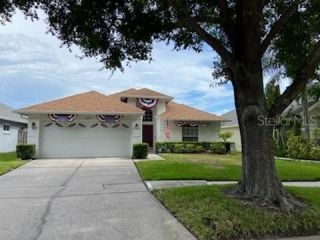 Foreclosed Home - 10257 OASIS PALM DR, 33615